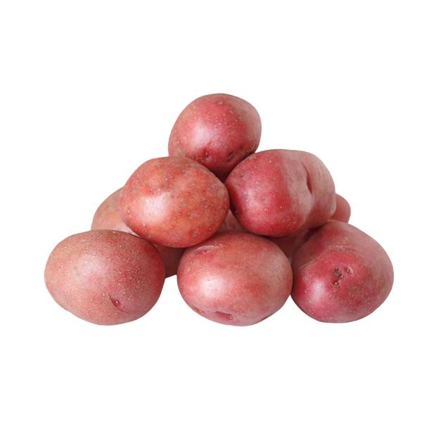 Potato Red 1LB