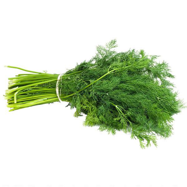 Dill Baby 1 Bunch