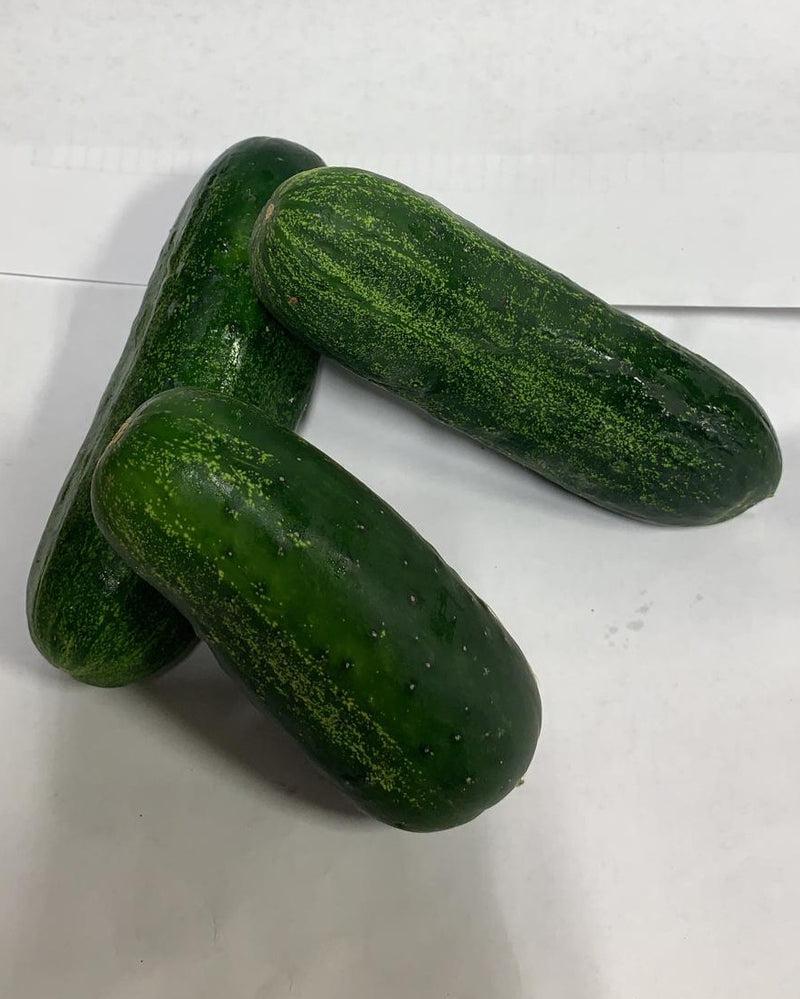 Cucumber Pickle 1LB
