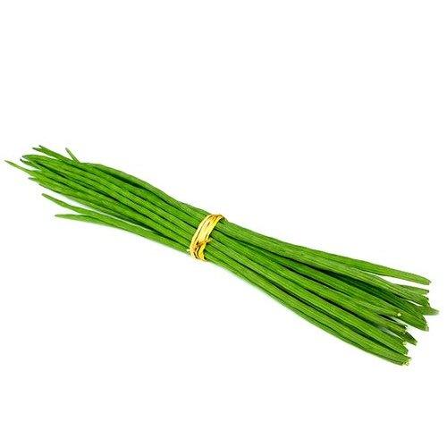 Drumstick 1LB