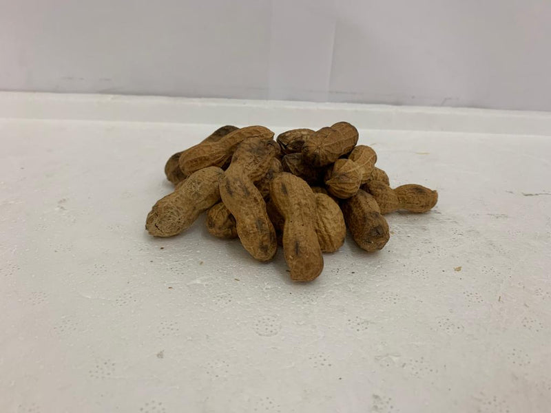 Peanut Dry 1LB