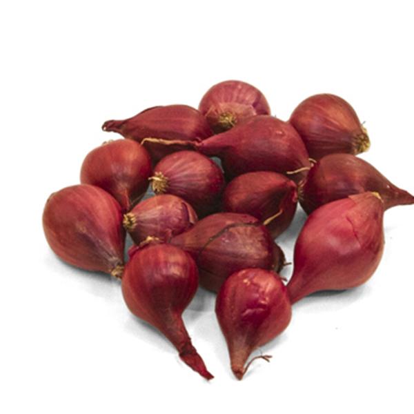 Onion Red Pearl 1 Packet