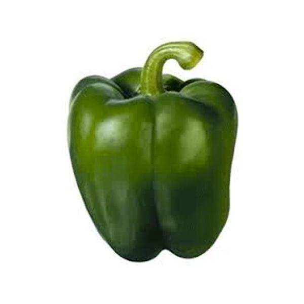 Bell Pepper Green 1LB