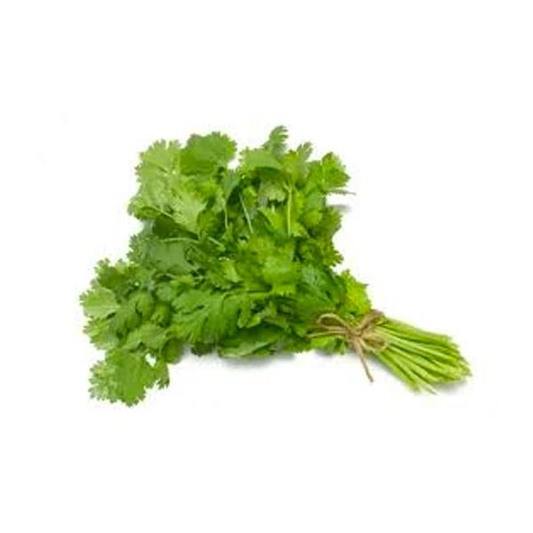 Cilantro 1 Bunch