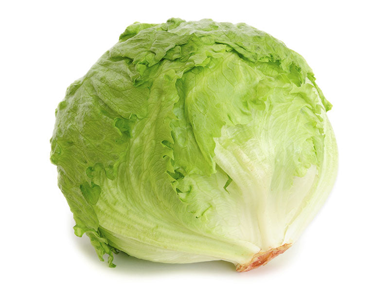 Lettuce 1PC