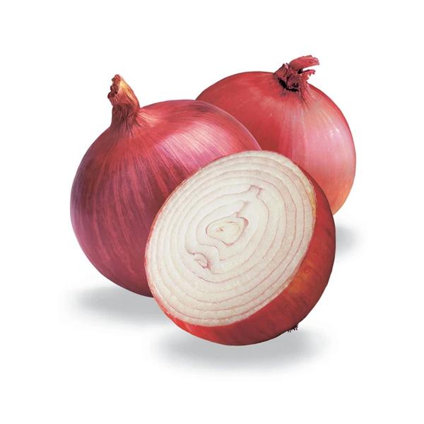 Onion Red 25LB