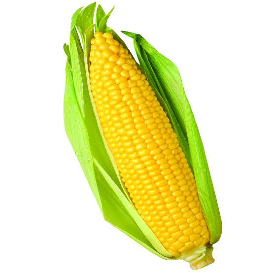 Sweet Corn 1PC