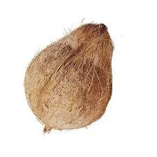 Coconut Whole 1PC